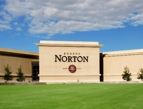 Crisis Vitivinícola: «Bodega Norton» en aprietos financieros