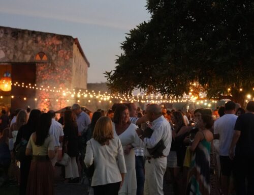 Vendimia en Carmelo – Uruguay – Adelanto