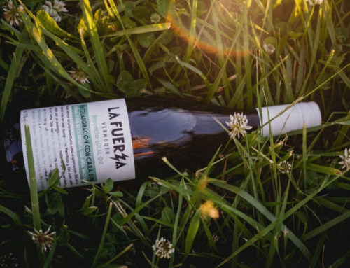 «Local 02»: Vermú de autor de la región de Barreal