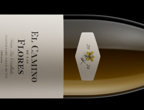 «El camino de las Flores»: Terroir de Gualtallary