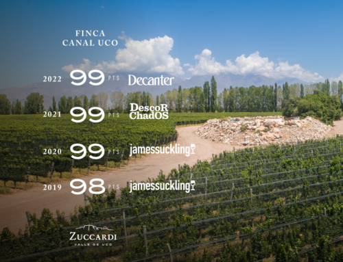 «Finca Canal Uco»: Singularidad y Claridad