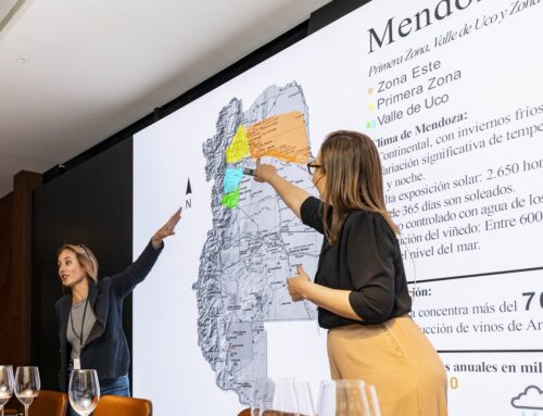 Vinos de España en Argentina