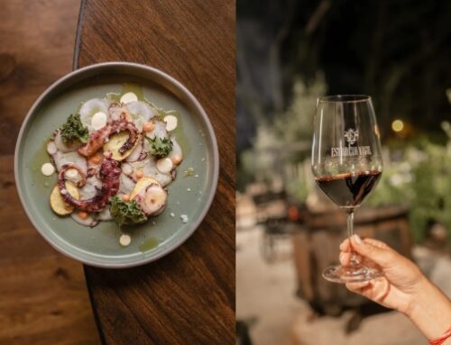 Pascuas en «Estancia Vigil» – Cardales