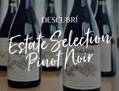 Nuevo Pinot Noir de Valle de Uco – Mendoza