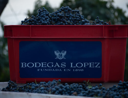 Historia del Malbec + Bodega Centenaria