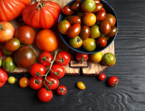 «Chau Tomate»: Evento para despedir la temporada