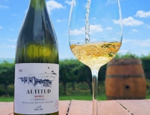 «Altitud Naranjo» de Chardonnay