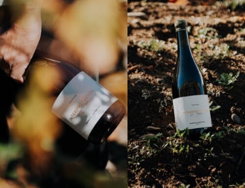 Gustavo Bertagna Wines – Novedad