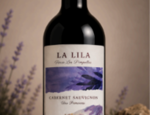 «Finca Los Pimpollos»: Arte y Vino del Sur Mendocino