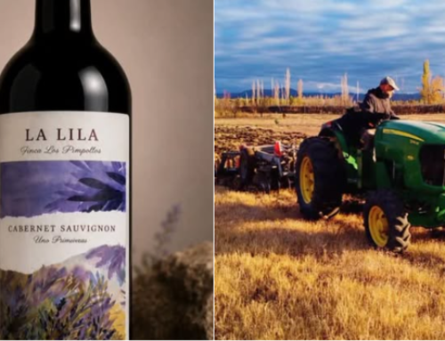 «Finca Los Pimpollos»: Arte y Vino del Sur Mendocino
