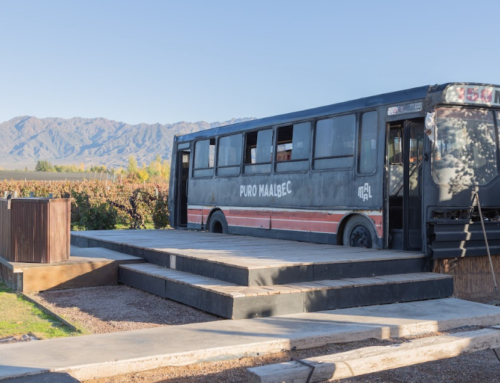 MAAL Wines: Pasión por la Amistad y el Malbec