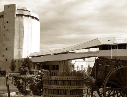 Bodega Don Bosco: Historia Viva de Mendoza