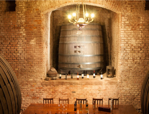 Bodega Don Bosco: Historia Viva de Mendoza