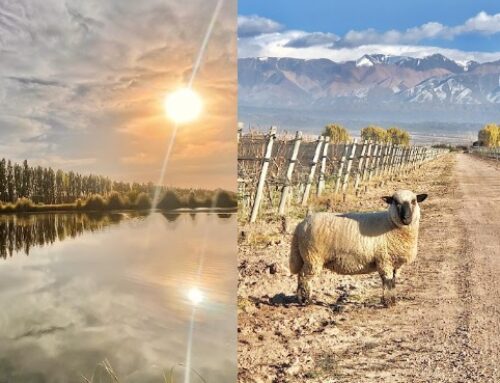 «El camino del Agua»: Nueva Experiencia en Mendoza