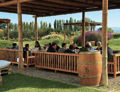 Turismo Corporativo en Mendoza