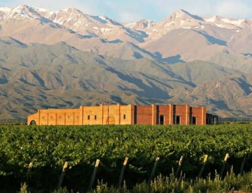 Invierno en Mendoza – Experiencias