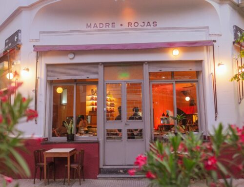 «Madre Rojas»: El Fin de las Expectativas