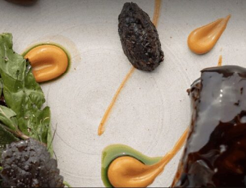 «Savia» distinguido por Wine Enthusiast – Mendoza