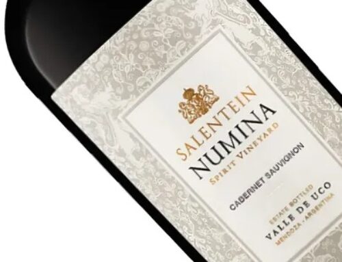 27 de Agosto: Dia del Cabernet Sauvignon