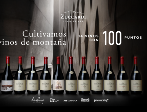 «Bodega Zuccardi» Valle de Uco cosechó 14 calificaciones perfectas