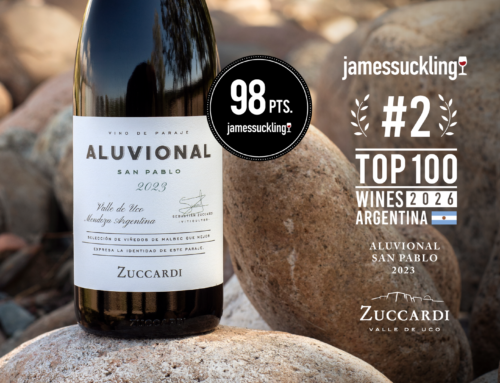 «Aluvional» Malbec de San Pablo: Vino Nro. 2 de Argentina
