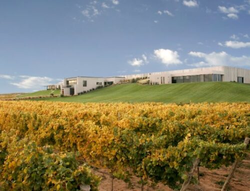 «Bodega Malma»: Sustentabilidad y Terroir