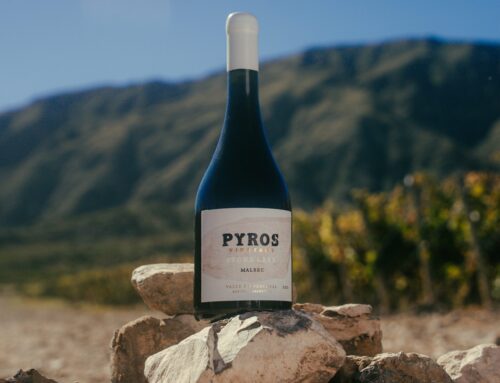 Pyros Vineyard Stone Lake Malbec 2023 – Lanzamiento