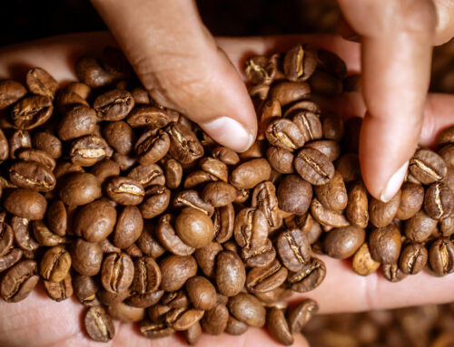 Para los amantes del Buen Café