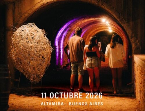 Feria de Vinos en Mercedes – Experiencia